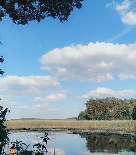 Na Trylkowku Szczytno (Warmian-Masurian)